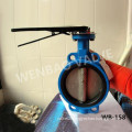 Rubber Seat Gg25 Wafer Butterfly Valve Pn10 Dn50 with Handle